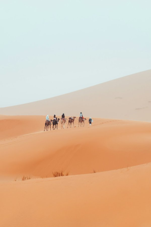 Comment organiser une expédition de trek dans le désert d'Atacama au Chili?